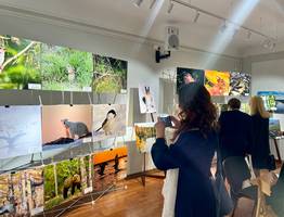 В Сыктывкаре наградили победителей конкурса "Фотоохота на заповедных территориях"