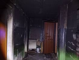 Сотрудники МЧС Коми при тушении подъездов домов и бани спасли троих и эвакуировали десятки людей