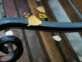 Прохладно и дождливо: прогноз погоды в Республике Коми на 21 сентября