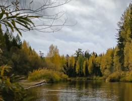 24 сентября холодный атмосферный фронт опустит температуру в Коми еще ниже