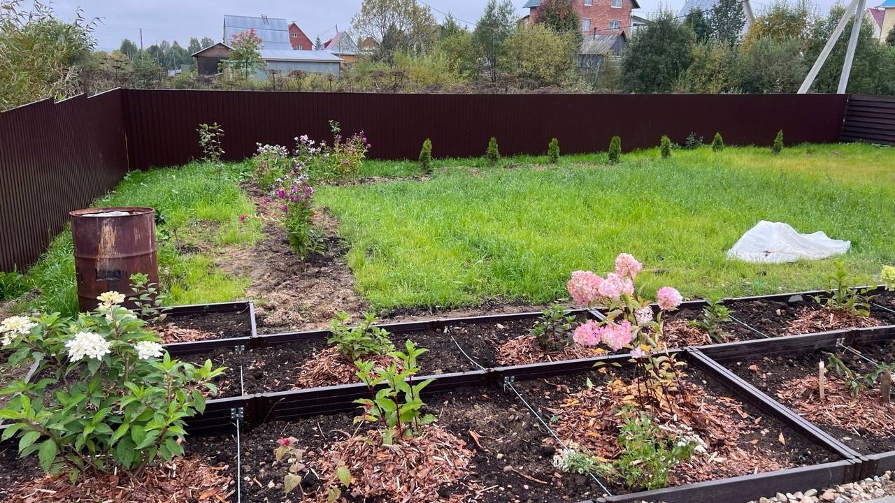 Осенью посыпаю грядки в теплице 1 стаканом «порошка» — за зиму почва сама оздоравливается