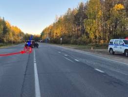 В Коми в трех ДТП пострадали 4 человека: пассажиры автобуса и машины, юный пешеход