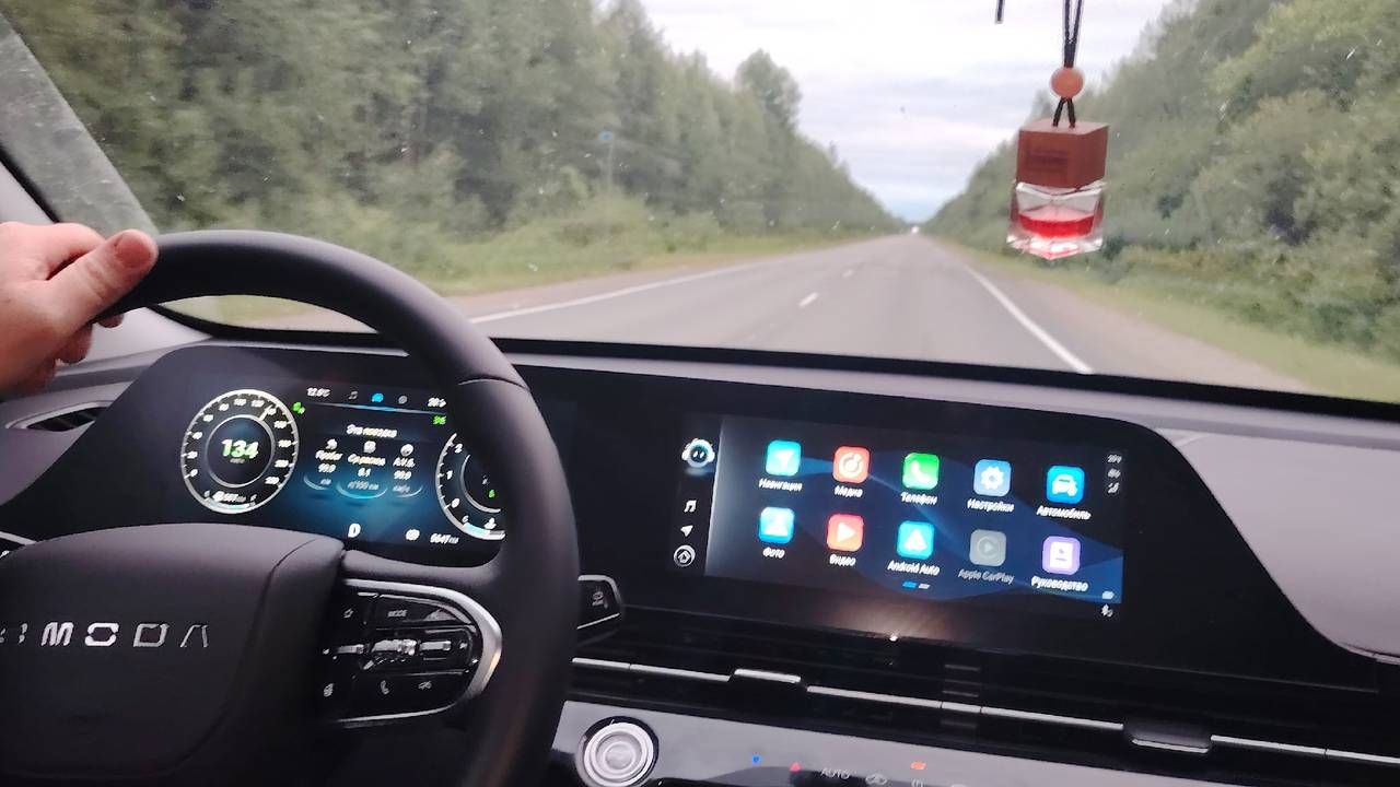 «“Первый и последний китаец”: машину не продать, кузов сгнил, спасает только один плюс