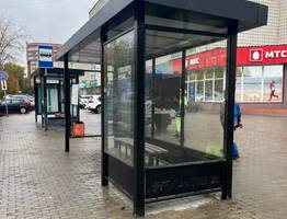 Сыктывкарец заплатил за разрушенную остановку после ночного дрифта