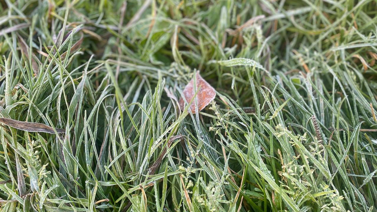 Главная картинка новости: 2 октября принесет в Коми на север заморозки, а на юг пока еще тепло