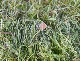 2 октября принесет в Коми на север заморозки, а на юг пока еще тепло