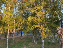 3 октября принесет прохладную, но преимущественно сухую погоду