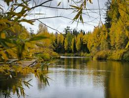 4 октября раскроет погодные противоречия осени в Коми: от -4 со снегом до +12 с солнцем