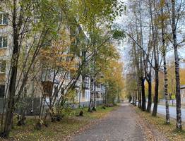 Погода 5 октября вновь установит в Коми четкий градиент: от дождя со снегом до сухого бабьего лета