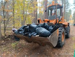 В Сыктывкаре "Зеленая Россия" объединила сотни активистов