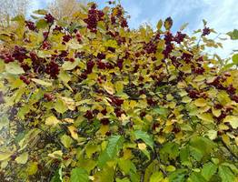 Погода 7 октября удивит контрастами: и дождь, и заморозки, и сухость, и тепло