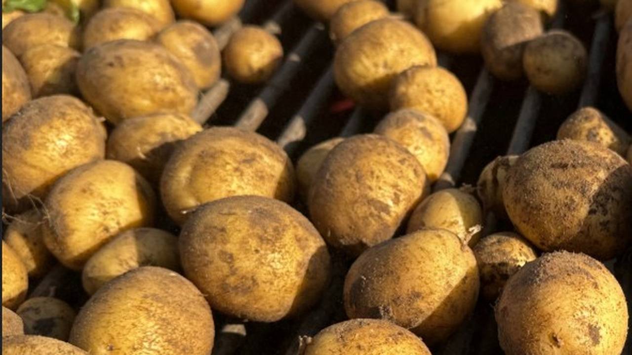 Главная картинка новости: Коми завершает сезон: аграрии выполняют планы по уборке урожая и заготовке кормов