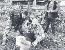 В Коми превращают заброшенные земли в школьные огороды