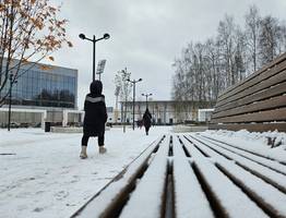 — Я вам не рабыня и не нянька! — сестра поставила на место родню под Новый год