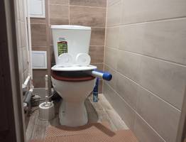 После одного случая всегда опускаю крышку унитаза и вам советую: почему запрещено оставлять открытым