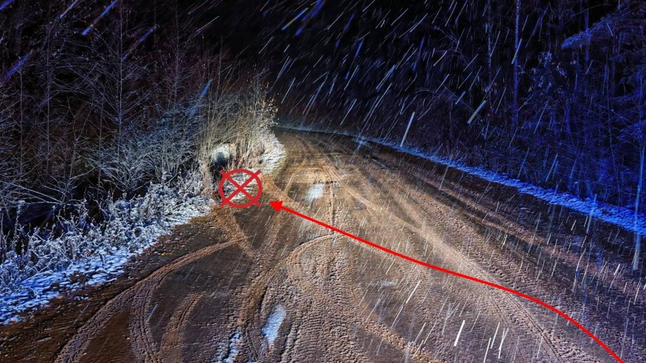 Пьяный лихач без прав перевернулся в кювет на лесной трассе в Коми