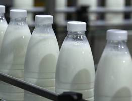 Пищепром Коми наращивает обороты: мясо и сыры лидируют в позитивной динамике