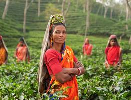 11 вещей, которые являются нормой для Индии, но кажутся необычными в России