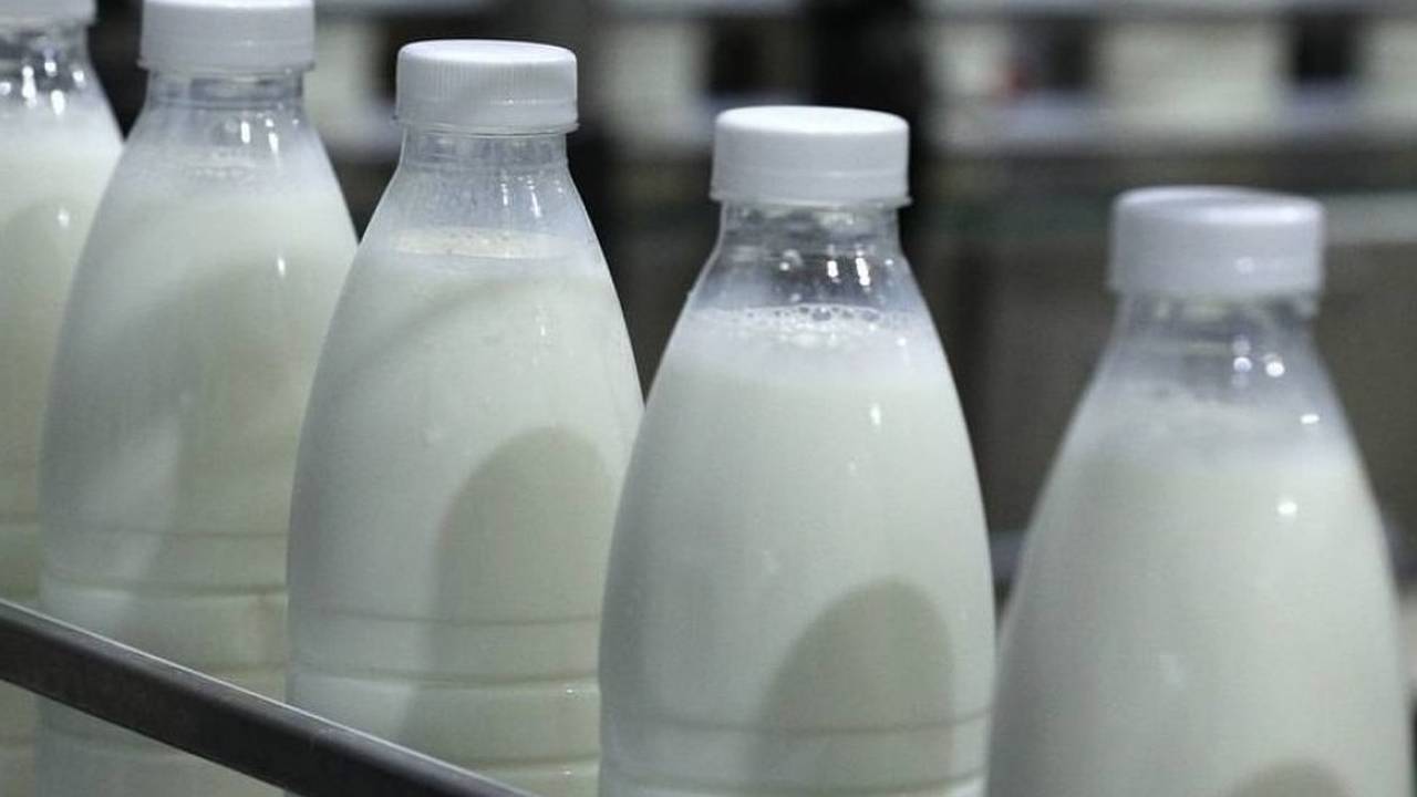 Главная картинка новости: Пищепром Коми наращивает обороты: мясо и сыры лидируют в позитивной динамике