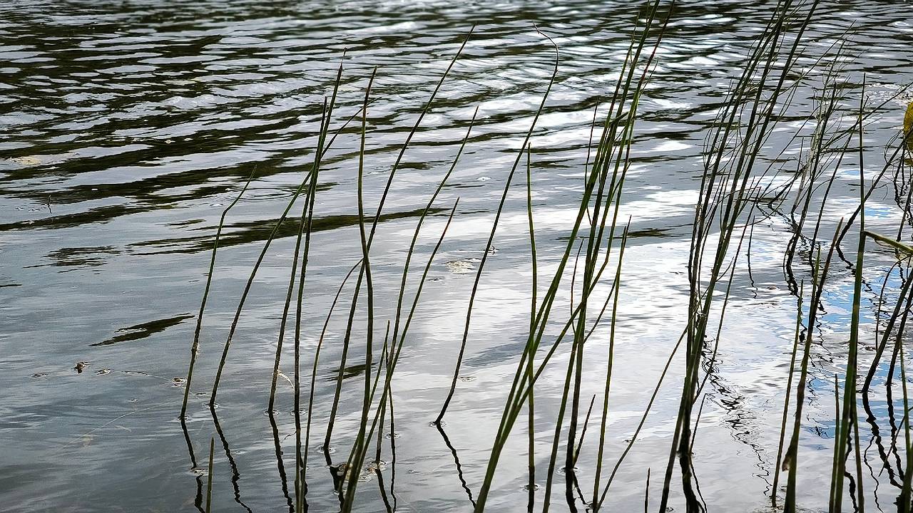 Главная картинка новости: Томские ученые очистили заполярный водоем Коми с помощью инновационного "Аэрощупа"
