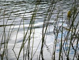 Томские ученые очистили заполярный водоем Коми с помощью инновационного "Аэрощупа"