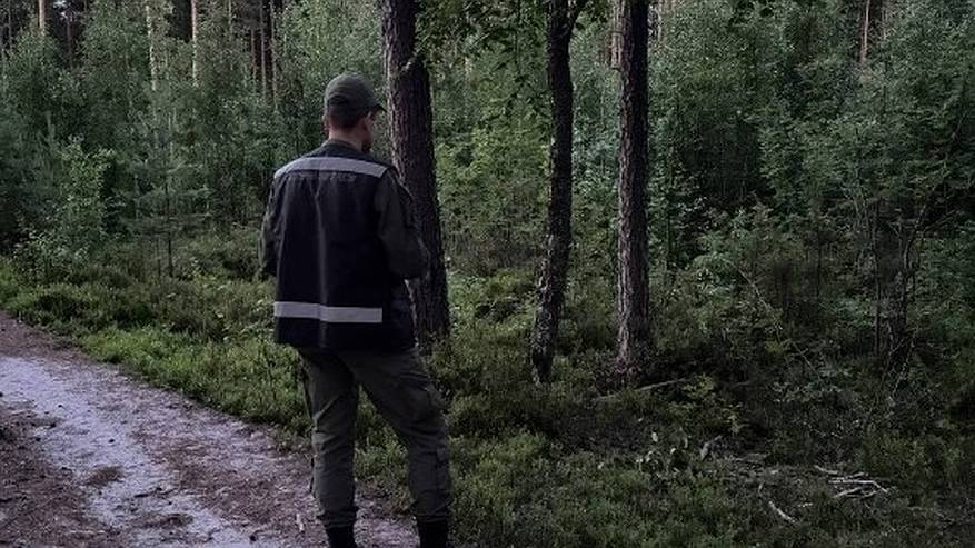 Главная картинка новости: В Сыктывкаре следователи распутали дело об убийстве и ограблении