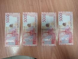 Житель Коми лишился 20 тысяч рублей после откровений в вагоне-ресторане