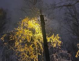 19 октября в Коми температура воздуха опустится ниже нуля, пройдут снег и дождь