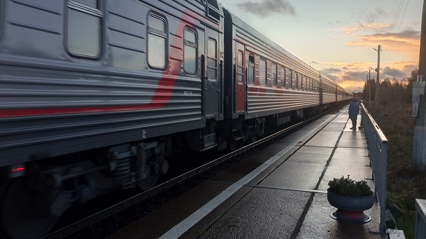 Главная картинка новости: «Скачут как обезьяны»: как я с семьей чуть не стал жертвой чужаков в вагоне