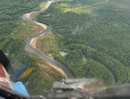 Лесопожарный сезон в Коми завершился: специалисты подвели итоги