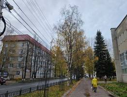 22 октября вновь принесет в Коми мокрый снег и порывистый ветер