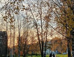 От мороза до слякоти: 28 октября каждый район Коми встретит свою осень