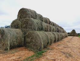 В Коми аграрии перевыполнили планы по заготовке кормов