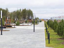 Оазис природы в Ухте: в Коми создают новый "Газпром-парк"