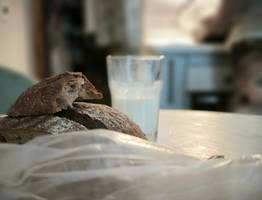 Молочный обман: в Коми изъяли более 3,7 тонны фальсифицированной продукции