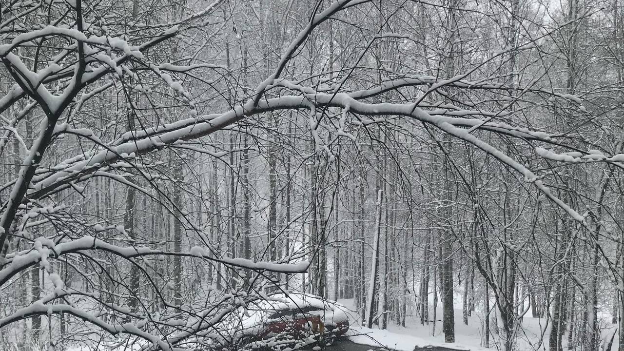 Главная картинка новости: 31 октября циклон принесет в Коми мокрый снег и похолодание