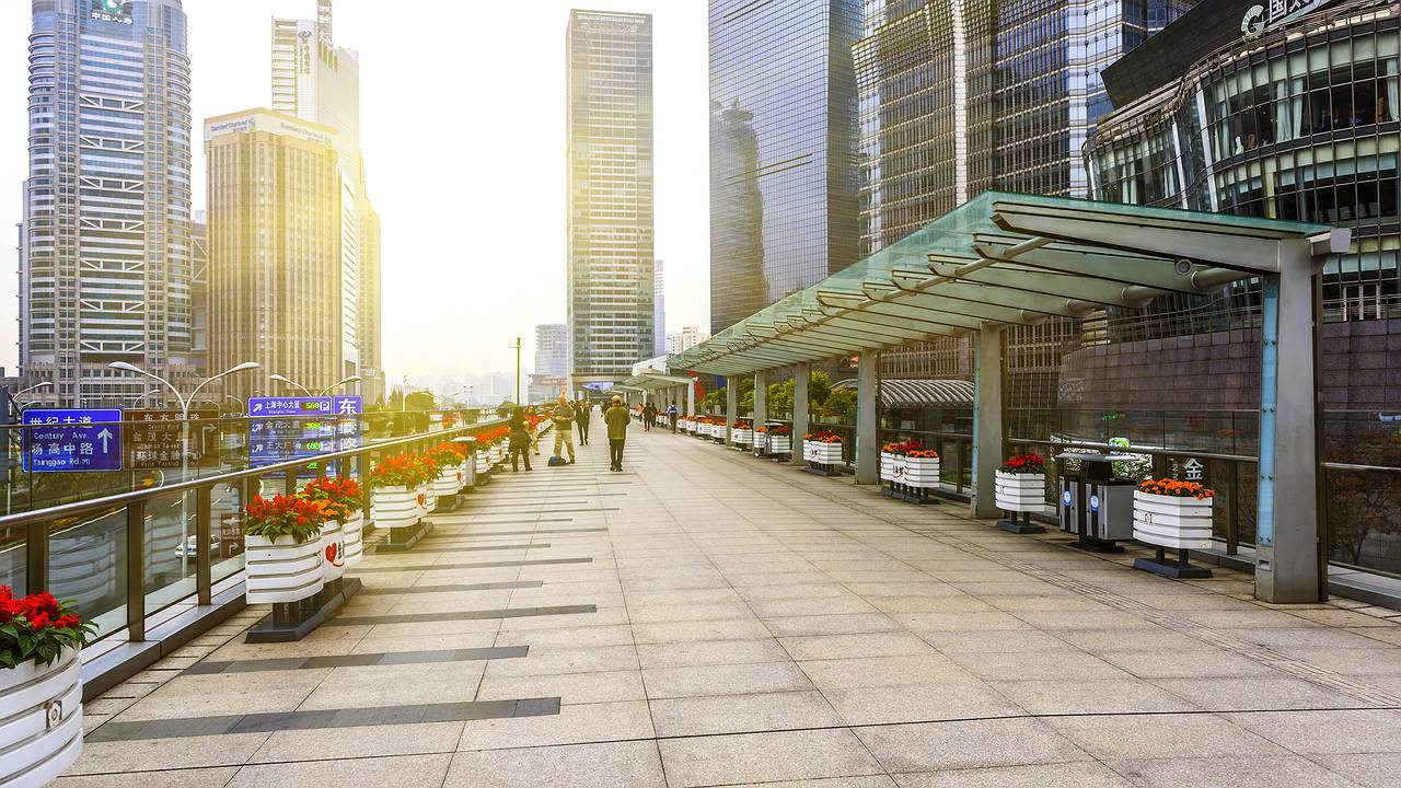 Главная картинка новости: Самые абсурдные вещи, которые "нормальны" в ОАЭ