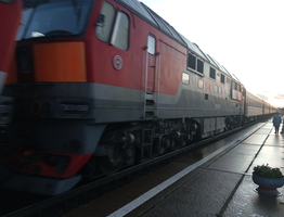 Выкупила нам с сыном все купе, а проводница посадила к нам еще 3 вахтовиков - новые правила от РЖД