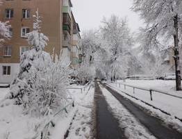 3 ноября термометры во всех районах Коми опустятся до минусовых отметок