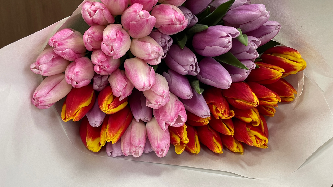 Главная картинка новости: 10 растений, которые я бы не стал дарить: сильно испортят настроение, а не обрадуют