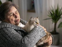 Людям за 60 лет стоит держаться подальше от кошек: ученые рассказали почему