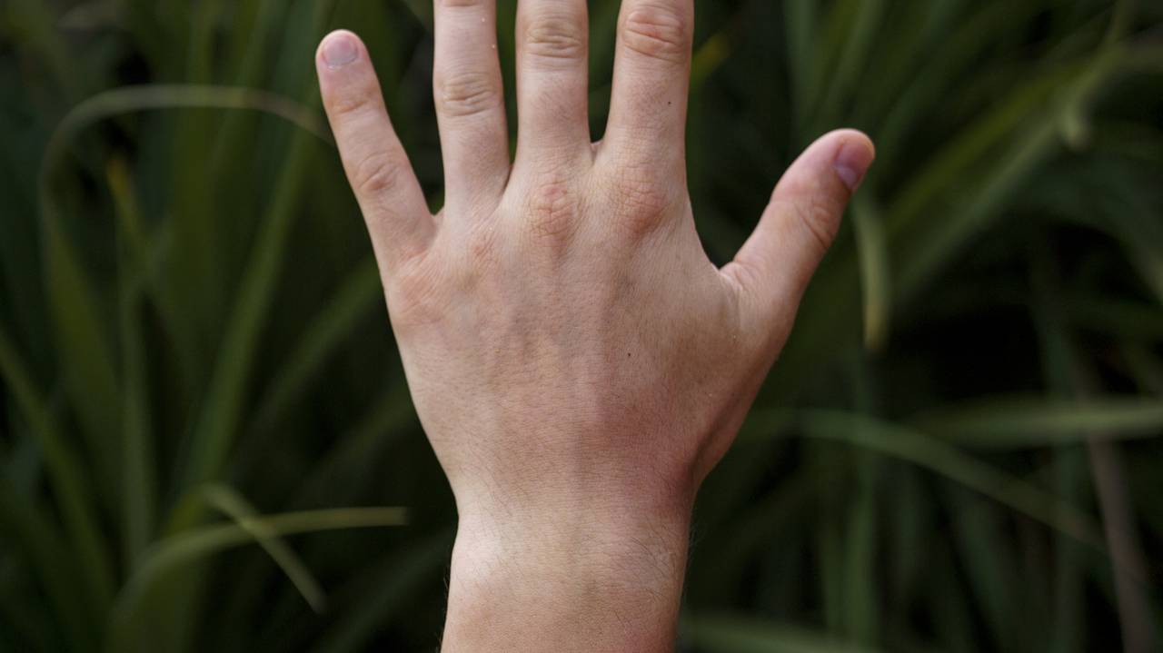 Главная картинка новости: Знаки на руке, сулящие богатство, получение наследства и частые выигрыши в лотерею