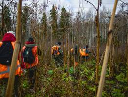 Статистика поисковых октябрьских операций в Коми: в "ЛизаАлерт" нашли 26 человек