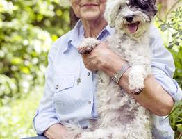 Верные и спокойные: 5 пород собак, которые подарят теплоту и верность пожилым людям