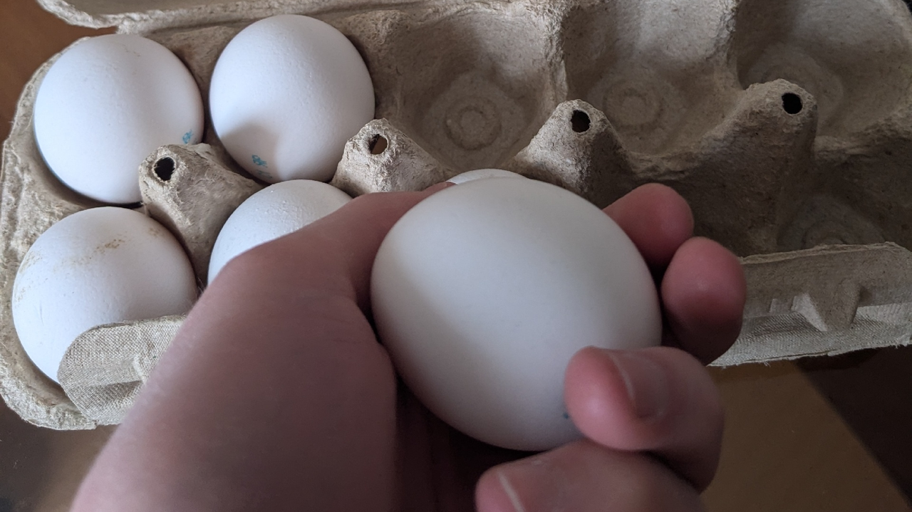 Главная картинка новости: Больше никогда не куплю домашние яйца - и вот почему. Сравнила их с магазинными и чуть не упала