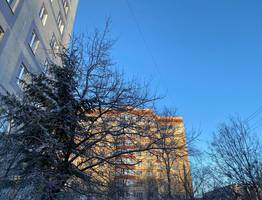 11 ноября в Коми сохранятся контрасты: на северо-востоке ударят морозы до -21°C, пока юг региона держится около 0°C