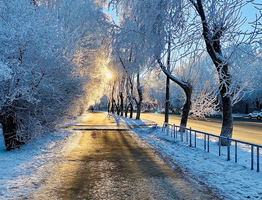 Аномальный мороз-1978: это самая холодная зима в истории СССР, которую не могут забыть