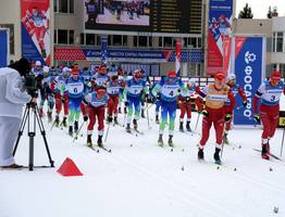 Спортсмены Коми завоевали почти тысячу наград за 10 месяцев 2025 года