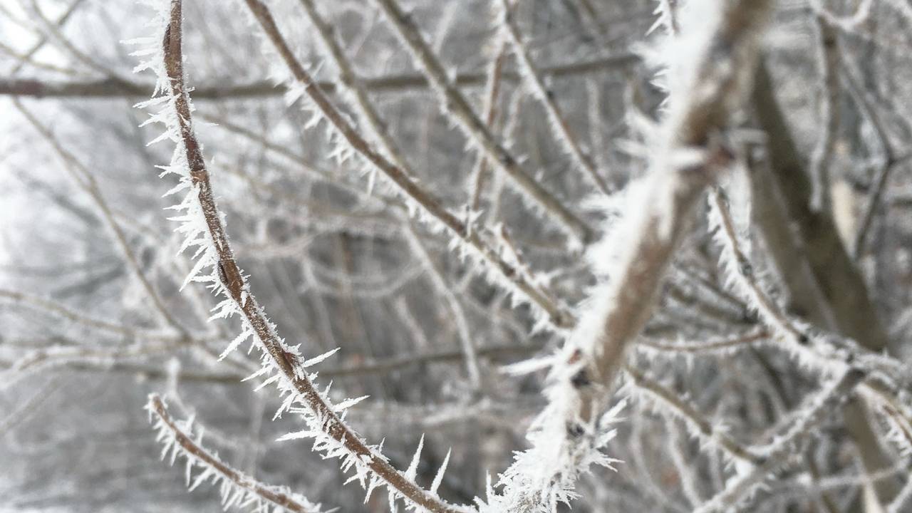 Главная картинка новости: 16 ноября в Коми властвует зима: минус на термометрах и снег во всех районах
