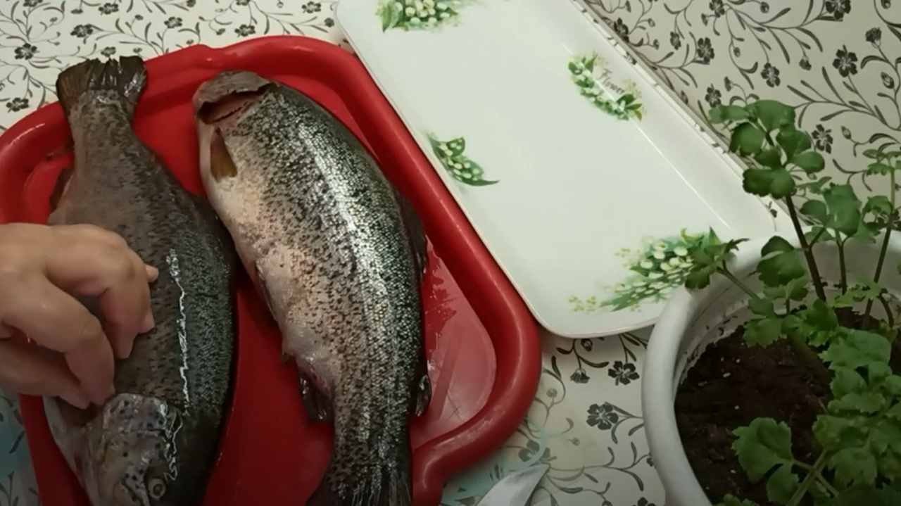 Главная картинка новости: Купил форель из "Светофора" для засолки икры: принес домой, и вот что обнаружил - честный отзыв